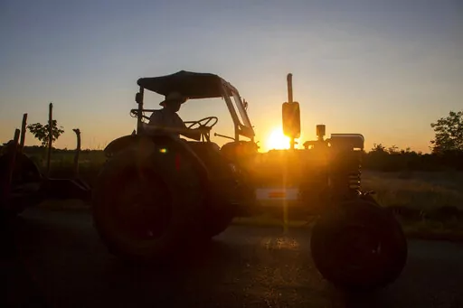 A man moves on a tractor along the highway at dawn, in Batabano, Cuba, Tuesday, Oct. 25, 2022. Cuba is suffering from longer droughts, warmer waters, more intense storms, and higher sea levels because of climate change. (AP Photo/Ismael Francisco)