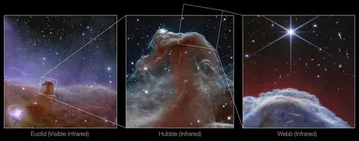 This image shows three views of the Horsehead Nebula. Image left, released in November 2023, features the Horsehead Nebula as seen in visible light by ESA’s Euclid telescope, which has contributions from NASA. The second image, middle, shows a view of the Horsehead Nebula in near-infrared light from NASA’s Hubble Space Telescope in 2013. The third image, right, features a new view of the Horsehead Nebula from NASA’s James Webb Space Telescope’s NIRCam (Near-Infrared Camera) instrument. (