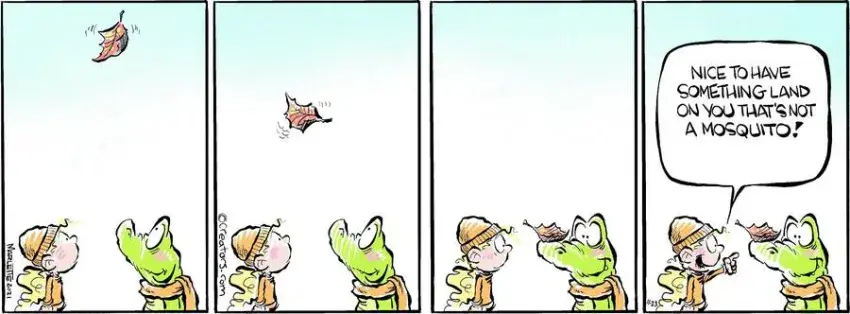 Shrimp and Grits for Nov 23, 2024